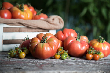 Fototapeta na wymiar Fresh tomatoes in a wooden crate