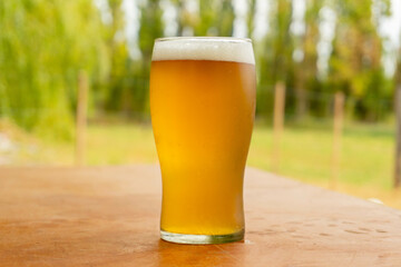 glass of beer on green grass