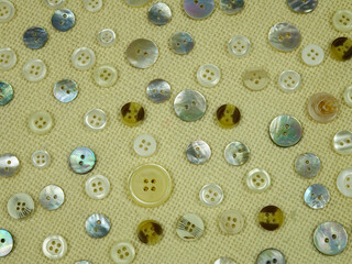 Small mother-of-pearl buttons for sewing to clothes are  on white fabric, background
