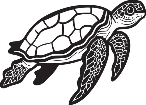 Vector turtle silhouette of a isolated on a white background, Vector illustration EPS