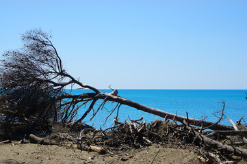 Mittelmeer Mediterranean Sea Italy Tuscany