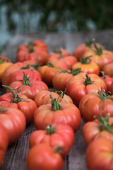 Obraz premium Organic food, Free red vegetables of tomato