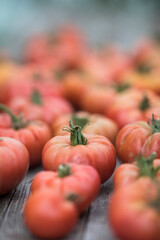 Vegetables, Tomatoes,  on desk in garden