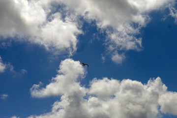 Wolkenbildung