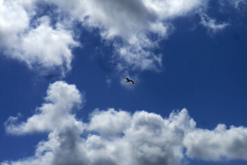 Wolkenbildung