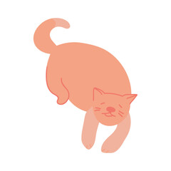 Single hand drawn cat in a funny pose. Isolated on a white background.