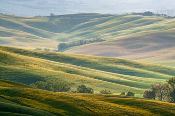 Fototapeta na wymiar view of the green hills of Tuscany, Val D'orcia valley.