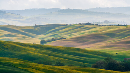 Naklejka premium view of the green hills of Tuscany, Val D'orcia valley.