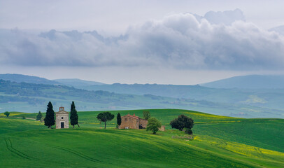 Obraz premium view of the green hills of Tuscany, Val D'orcia valley.