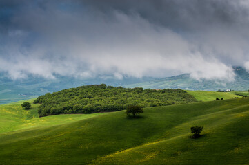 Fototapeta na wymiar view of the green hills of Tuscany, Val D'orcia valley.
