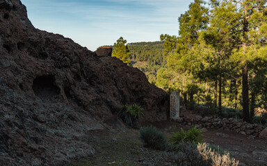 Volcanic Rock Formation next to Canary Islands Pine Tree Forest in Mountain in Gran Canaria, Spain
