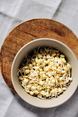 Bowl of fresh mung bean sprouts.