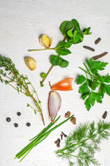 Verschiedene Kräuter und Gewürze auf weißen Hintergrund 