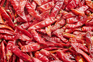 red hot chili peppers