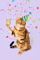 Ginger cat with a glass of champagne on a colored background.