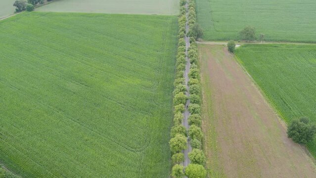 Land or landscape of green field in aerial view. Include agriculture farm, house building, village. That real estate or property. Plot of land for housing subdivision, development, sale or investment