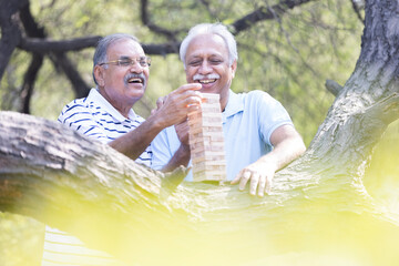 Senior Men playing wooden blocks in park