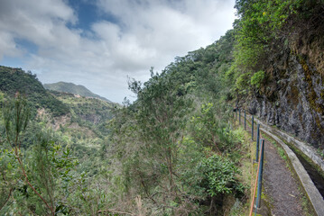 Fototapeta premium Portugal - Madeira - Cruz - Levada do Castelejo