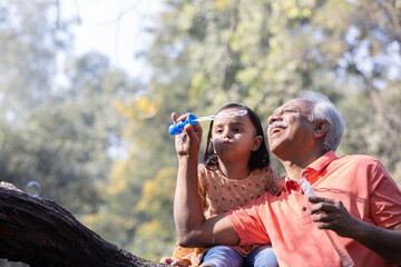 Obraz premium Grandfather blowing soap bubbles to his grandchild