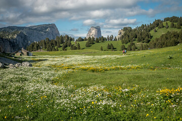 Mont Aiguille dans le Vercors au printemps , Is&egrave;re France