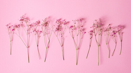 Delicate dry pink flowers. Small flowers. On a pink background. Spring, feminine, cute. Pink background. Flowers. Dried flowers. Empty space. Bouquet.