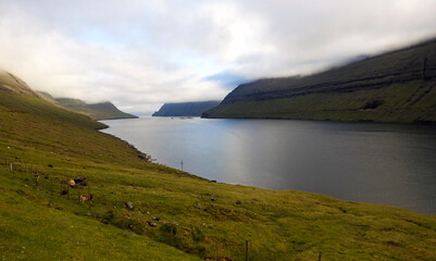 Obraz premium Kunoy landscape, Faroe Islands, Denmark