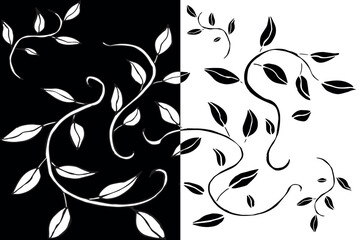 Bicolor Sheet Art in black and white. vintage vector with beautiful contrast of tones.