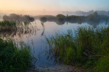 morning on the river