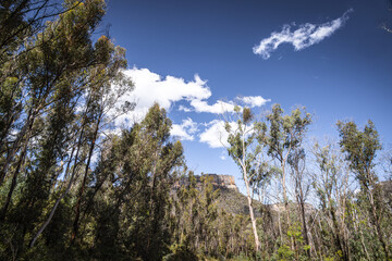 Fototapeta na wymiar Blue mountains overlooking the Wolgan Valley, New South Wales, Australia