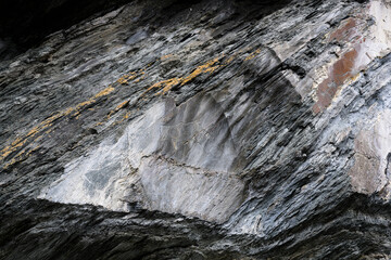 Petroglyph carved on a rock depicting moose animal dated 35-1 centuries BC on the banks of the Tom River in Siberia