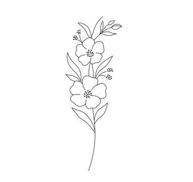 Vector isolated one single branch with flowers  colorless black and white contour line easy drawing