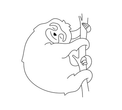 Vector isolated one single cute cartoon sloth sleeping on a tree branch colorless black and white contour line easy drawing

