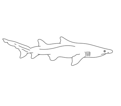 recommend clip art: Vector isolated one single swimming mako shark side view  colorless black and white contour line easy drawing
                    
                    