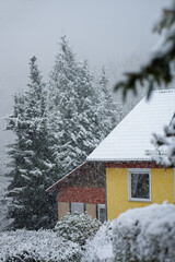 Haus am Waldrand, Schneefall im März