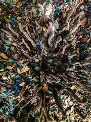 Wooden stumps and colored stones on the coast
