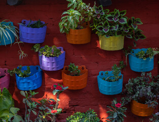 Fototapeta na wymiar Many colorful planters with different house plants attached to the exterior brick wall for decoration purpose. 