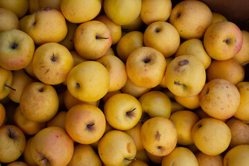 Top view. Yellow juicy fresh sweet apples on fruit shop window. Concept of buying farm food at a street market. Vegetable store counter. Ingredient for charlotte, jam, pie, juice. Sale. Garden harvest