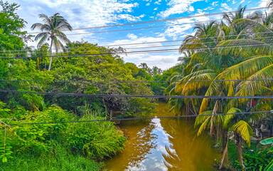 Obraz premium Green beautiful tropical river Freshwater Lagoon in Puerto Escondido Mexico.