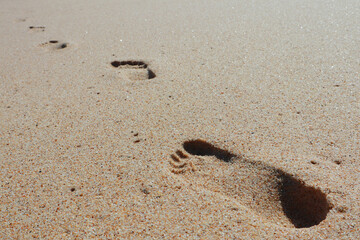 Fototapeta na wymiar Print of foot steps on wet sand