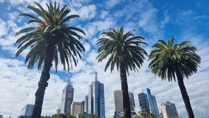 Obraz na płótnie Canvas Contrast between nature and city in Melbourne, Australia