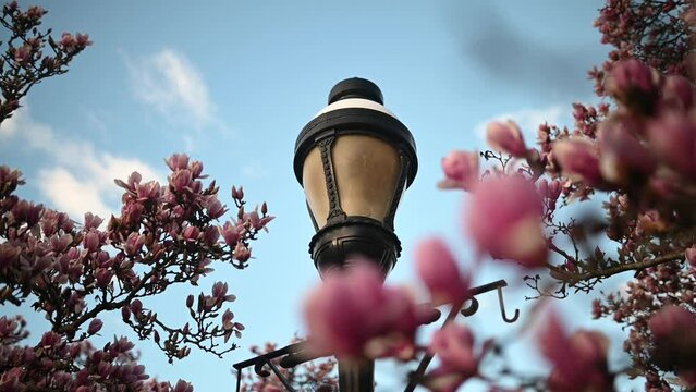 Lamp at the rawlins park - Washington DC