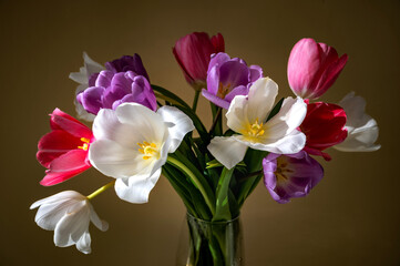 A bouquet of bright multi-colored tulip flowers in a vase on a dark background. White tulip highlighted with light and selective focus