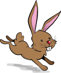 Little brown rabbit running