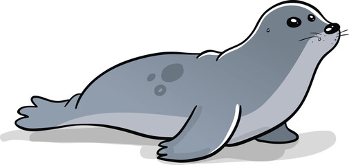 Cute little grey seal