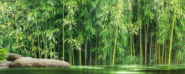 spring water in a wild bamboo garden with product display on a sunny rock, idyllic landscape background concept with asian zen spirit for spa, travel, wellness - obrazy, fototapety, plakaty