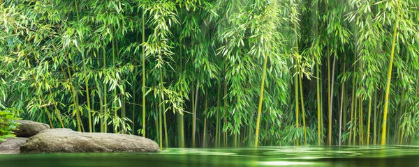 Zelfklevend Fotobehang spring water in a wild bamboo garden with product display on a sunny rock, idyllic landscape background concept with asian zen spirit for spa, travel, wellness © winyu