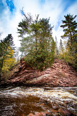 river in the forest