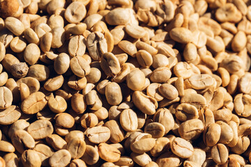Coffee beans dried in the sun. Coffee bean drying. Coffee beans are drying at coffee farm