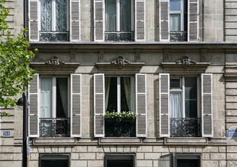 Paris ancient stone building facade with three rows of French windows with white wooden shutters, rich stucco fretwork, small wrought iron balconies, street lamp and tree branches on the left