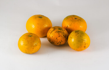 several oranges of different sizes isolated on a white background